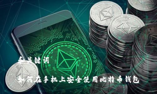 和关键词
如何在手机上安全使用比特币钱包