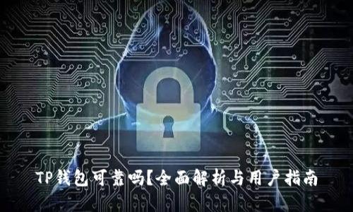 TP钱包可靠吗？全面解析与用户指南