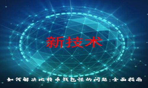 如何解决比特币钱包慢的问题：全面指南