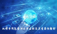 比特币钱包密钥文件后缀
