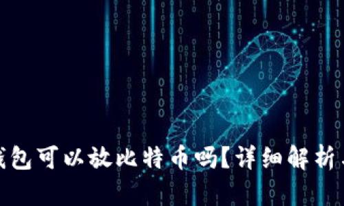 : 小狐狸钱包可以放比特币吗?详细解析与使用指南