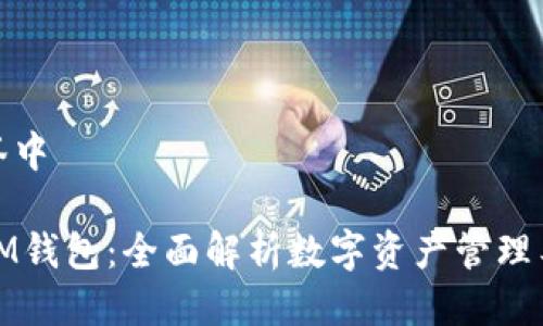 把放入标签中

TP钱包与IM钱包：全面解析数字资产管理工具的选择