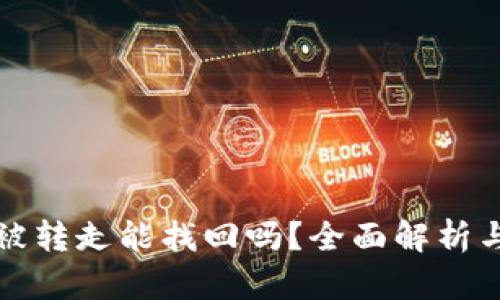 TP钱包币被转走能找回吗？全面解析与解决方案