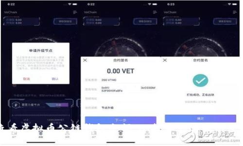 如何查看虚拟币公链钱包余额：从技术到实操的全面指南