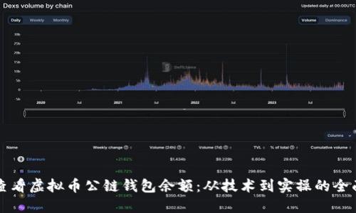 如何查看虚拟币公链钱包余额：从技术到实操的全面指南