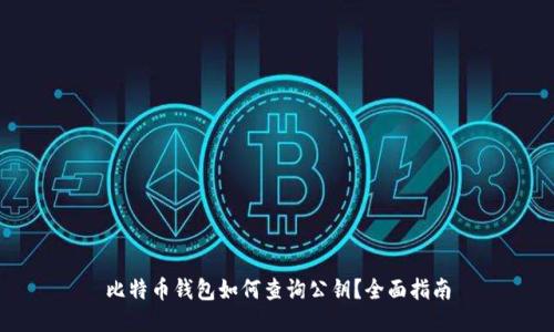 比特币钱包如何查询公钥？全面指南