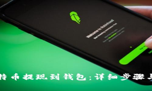 如何将比特币提现到钱包:详细步骤与注意事项