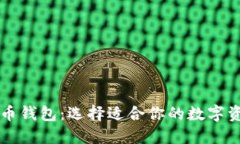 国外的虚拟币钱包：选择