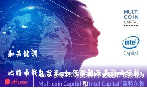 和关键词
比特币钱包分叉:如何理解及其影响分析