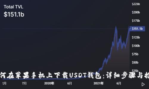 如何在苹果手机上下载USDT钱包：详细步骤与推荐
