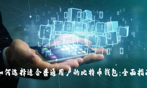 如何选择适合普通用户的比特币钱包：全面指南