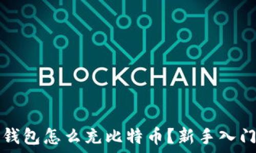   
电子钱包怎么充比特币？新手入门指南