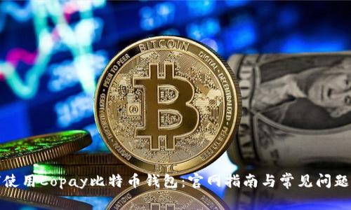 如何使用Copay比特币钱包:官网指南与常见问题解答