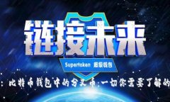 : 比特币钱包中的分叉币：