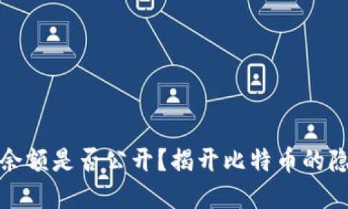 比特币钱包余额是否公开?揭开比特币的隐私与透明性