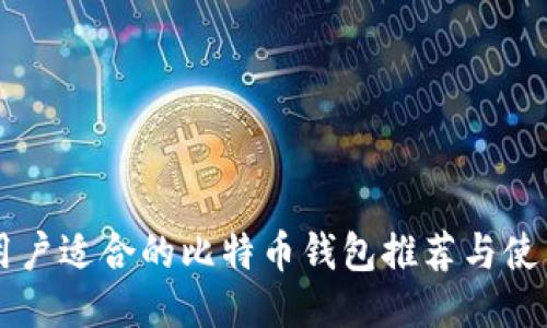 中国用户适合的比特币钱包推荐与使用指南