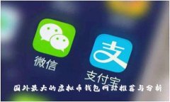  国外最大的虚拟币钱包网