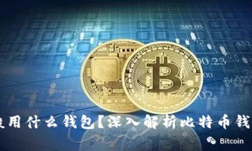 大家比特币一般用什么钱包?深入解析比特币钱包的选择及使用