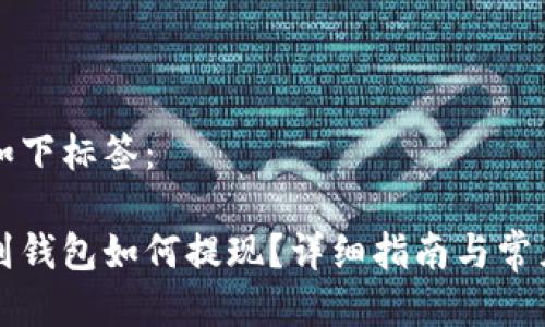 可以使用如下标签:
虚拟币提到钱包如何提现?详细指南与常见问题解答