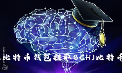 如何从比特币钱包提取BCH（比特币现金）
