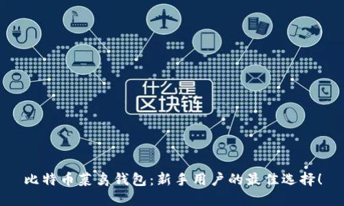 比特币菜鸟钱包:新手用户的最佳选择!