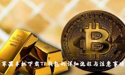 苹果手机下载TP钱包的详细流程与注意事项