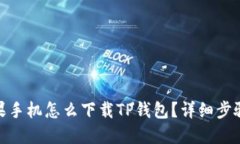 : 苹果手机怎么下载TP钱包
