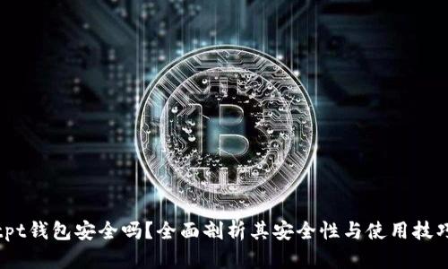 tpt钱包安全吗?全面剖析其安全性与使用技巧