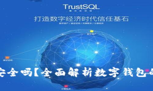 TP钱包安全吗?全面解析数字钱包的安全性