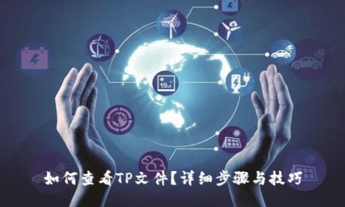 如何查看TP文件？详细步骤与技巧