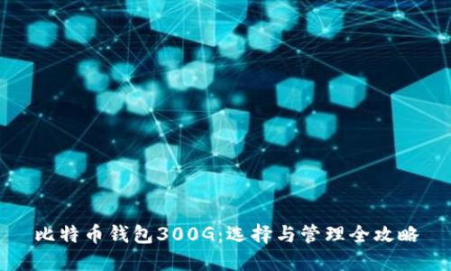 比特币钱包300G：选择与管理全攻略