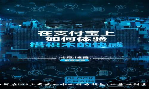 如何在iOS上开发一个比特币钱包：从基础到实战