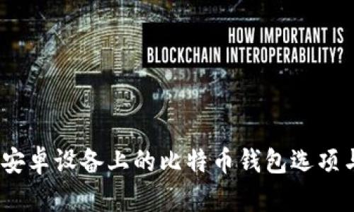 全面解析：安卓设备上的比特币钱包选项与使用指南