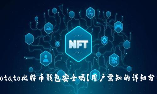 Potato比特币钱包安全吗？用户需知的详细分析