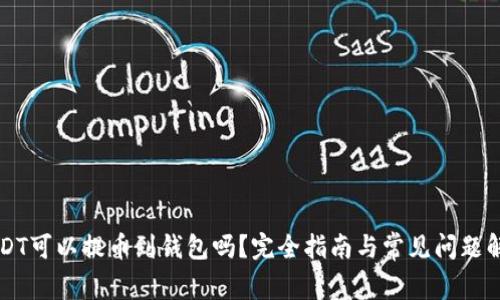 USDT可以提币到钱包吗？完全指南与常见问题解析