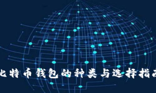 比特币钱包的种类与选择指南