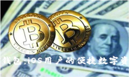 全面解析PT钱包:iOS用户的便捷数字资产管理方案