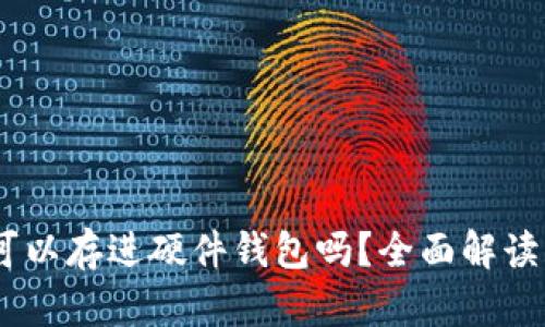 USDT可以存进硬件钱包吗?全面解读与指南
