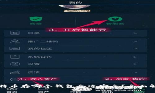 比特币存哪个钱包合适安全?全面解析