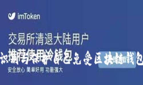 如何识别与保护自己免受区块链钱包诈骗