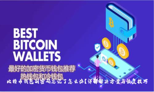 比特币钱包副密码忘记了怎么办?详解解决方案与恢复技巧