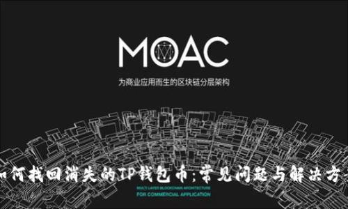 如何找回消失的TP钱包币:常见问题与解决方案