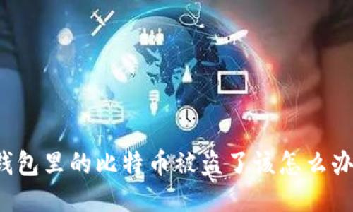 钱包里的比特币被盗了该怎么办?