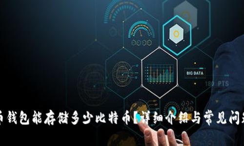 比特币钱包能存储多少比特币?详细介绍与常见问题解答