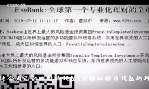 如何选择适合自己的比特币钱包?详解比特币钱包的种类与特点