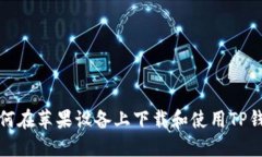 如何在苹果设备上下载和
