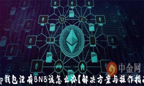 tp钱包没有BNB该怎么办?解决方案与操作指南