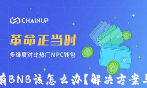 tp钱包没有BNB该怎么办?解决方案与操作指南