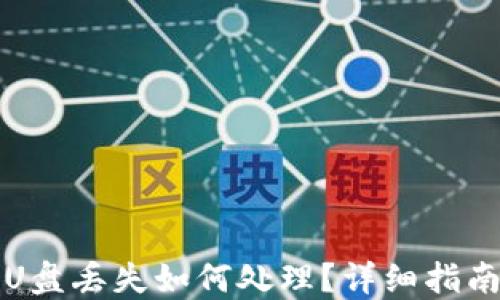 比特币钱包U盘丢失如何处理?详细指南与解决方案