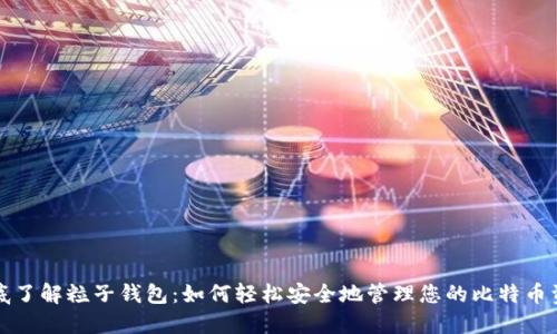 彻底了解粒子钱包:如何轻松安全地管理您的比特币资产
